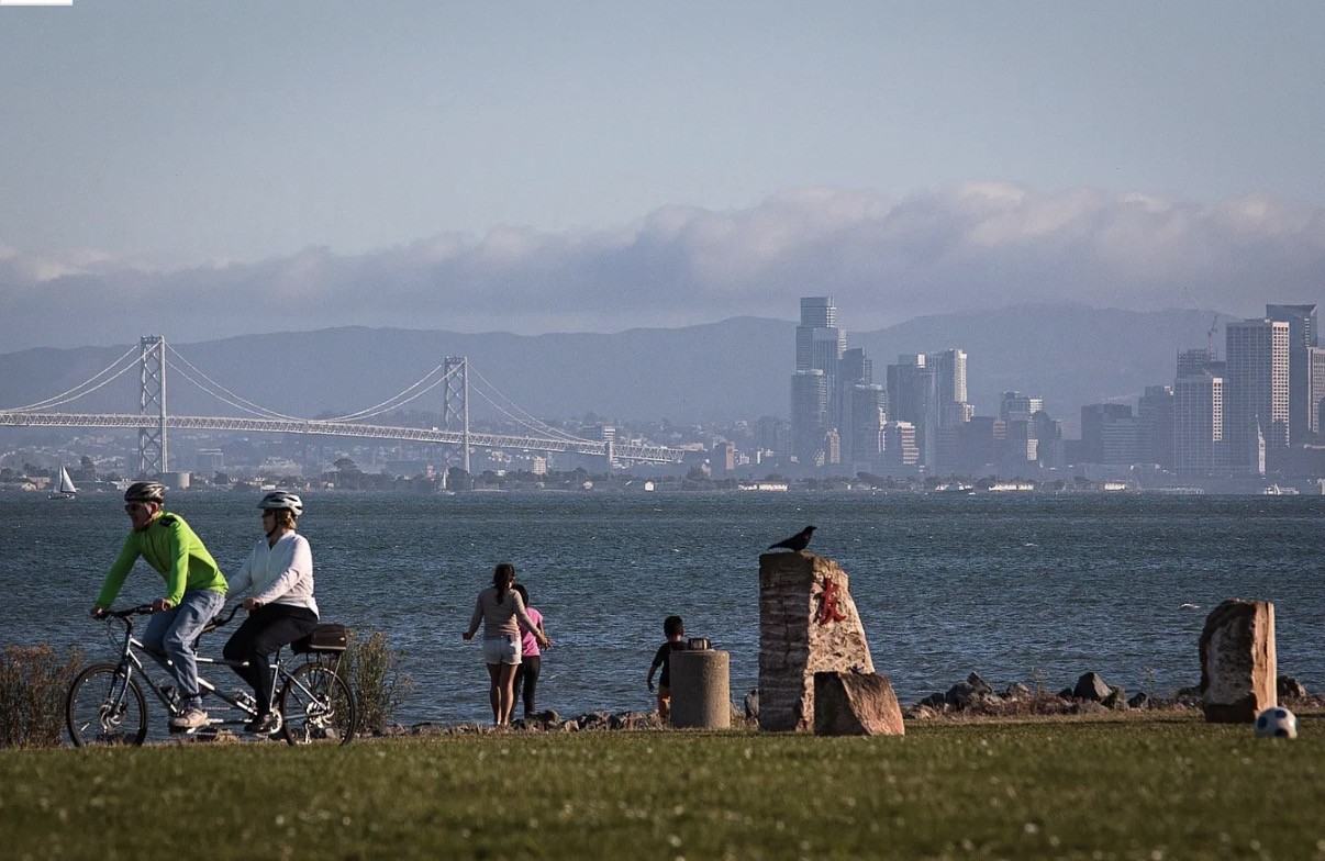 15 Shoreline Ct #15 - Photo 3 of 19