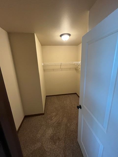 27 Jaro Way - Photo 4 of 32