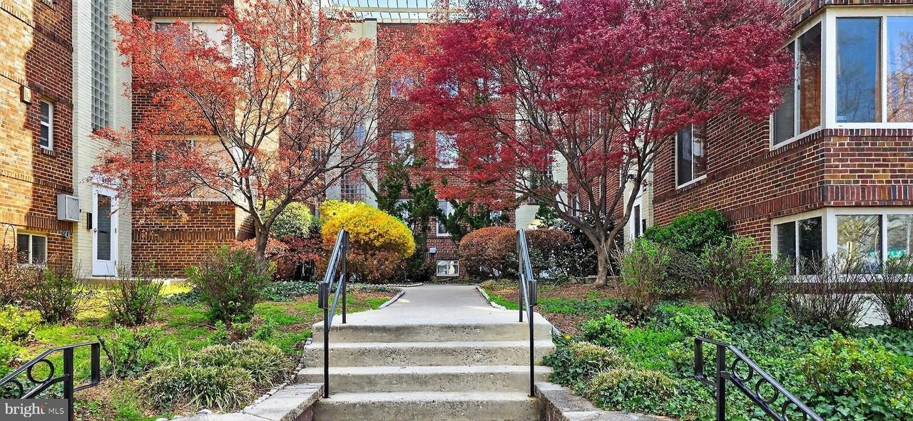 5405 9th St Nw #306 - Photo 5 of 28