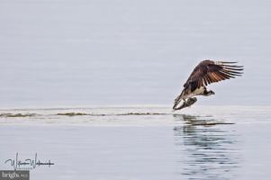 featured image of 7517 B St