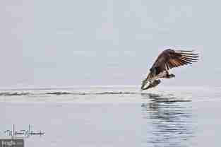 7517 B St - Photo 1 of 1