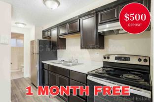 1341 N Ogden St #204 - Photo 1 of 1