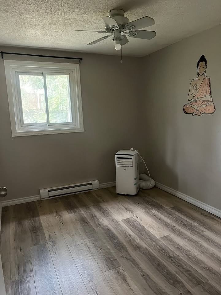 162 Jansen Avenue #28 Room 2 - Photo 3 of 7