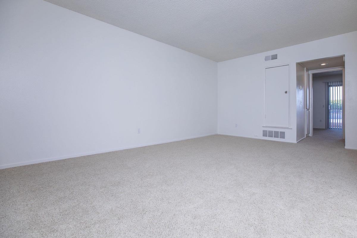 125 N Belinda Cir - Photo 5 of 36