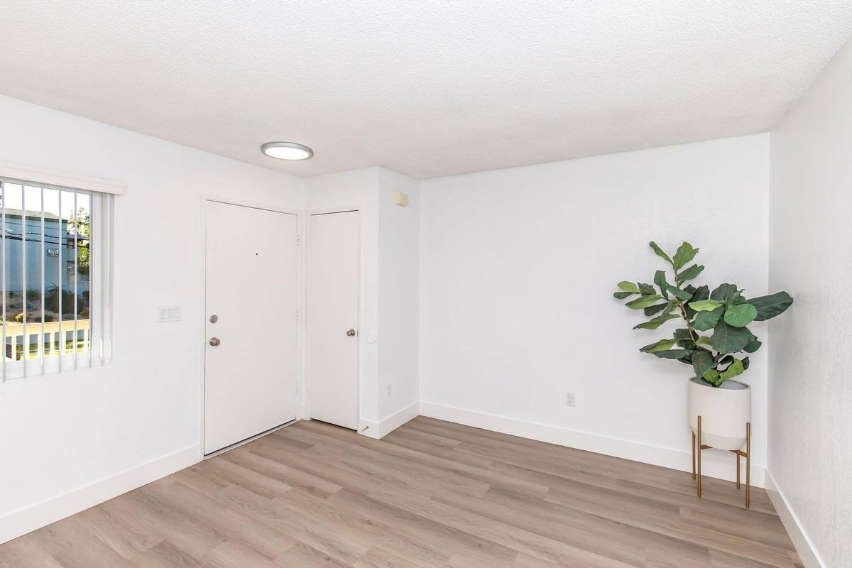 1203 E Central Ave - Photo 4 of 31