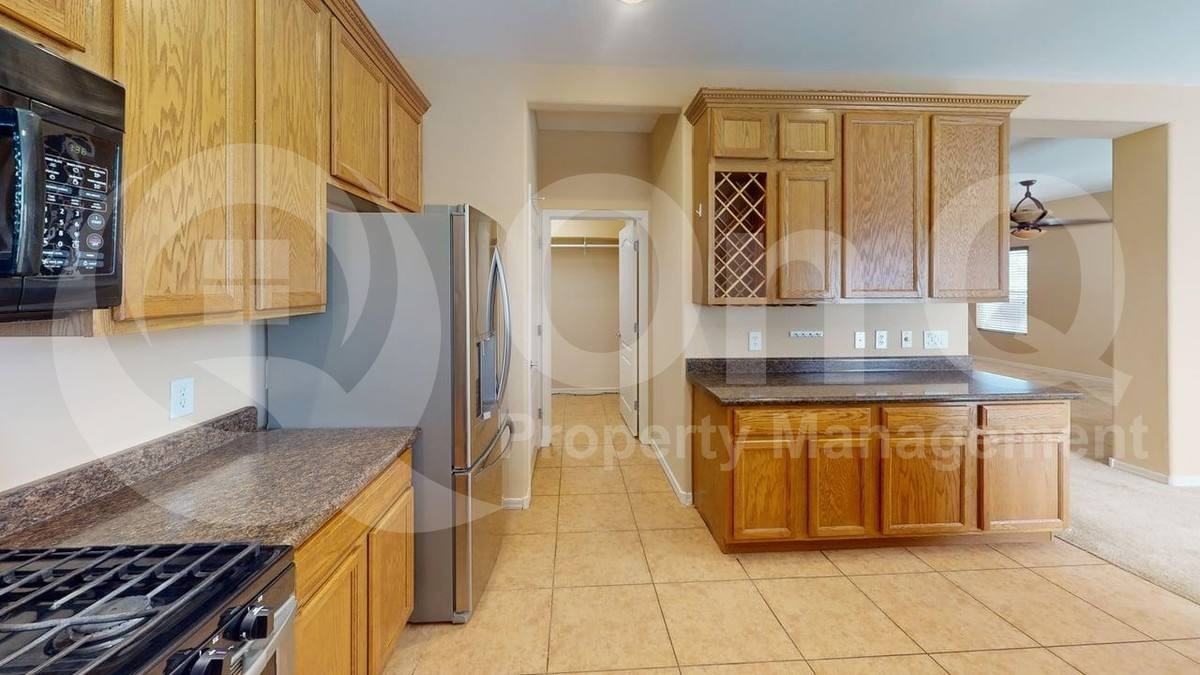 1107 W Calle Vista De Suenos - Photo 3 of 10