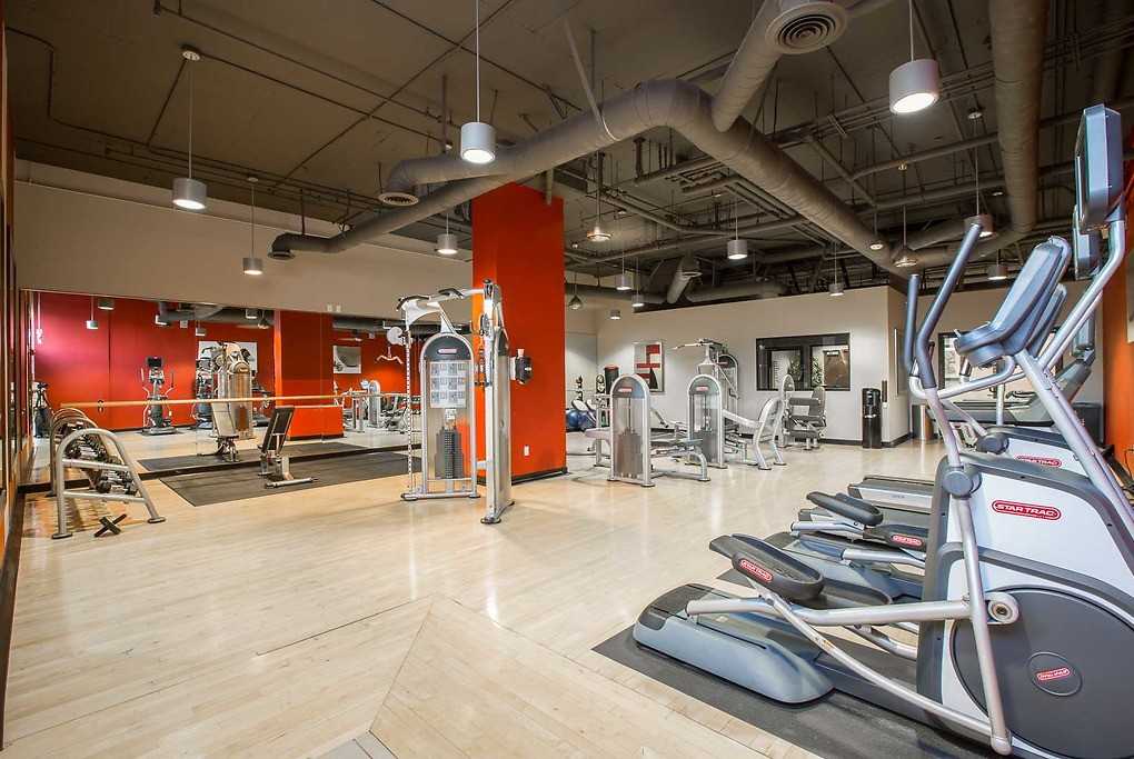 Muse - Photo 5 of 39