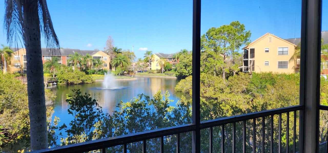 11901 4th St N #11203 - Photo 3 of 25