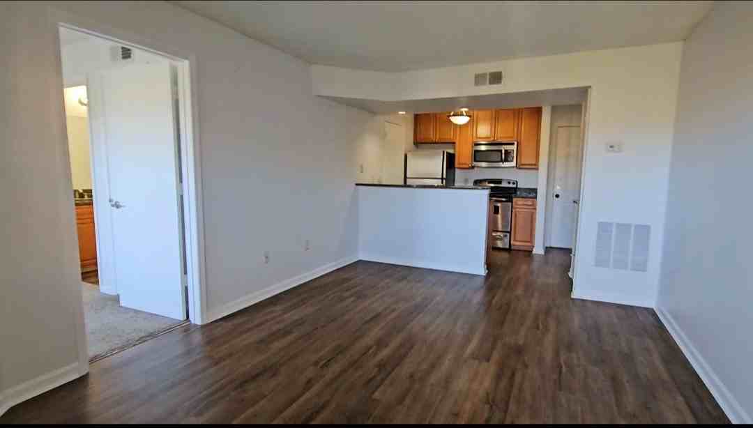 11901 4th St N #11203 - Photo 5 of 25