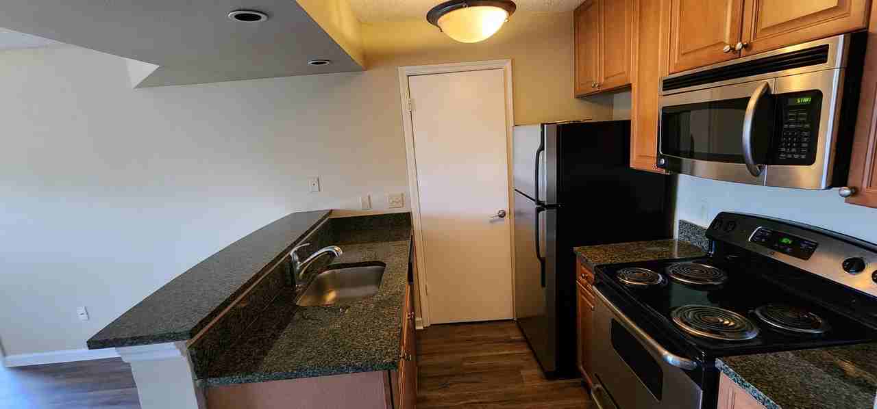 11901 4th St N #11203 - Photo 7 of 25