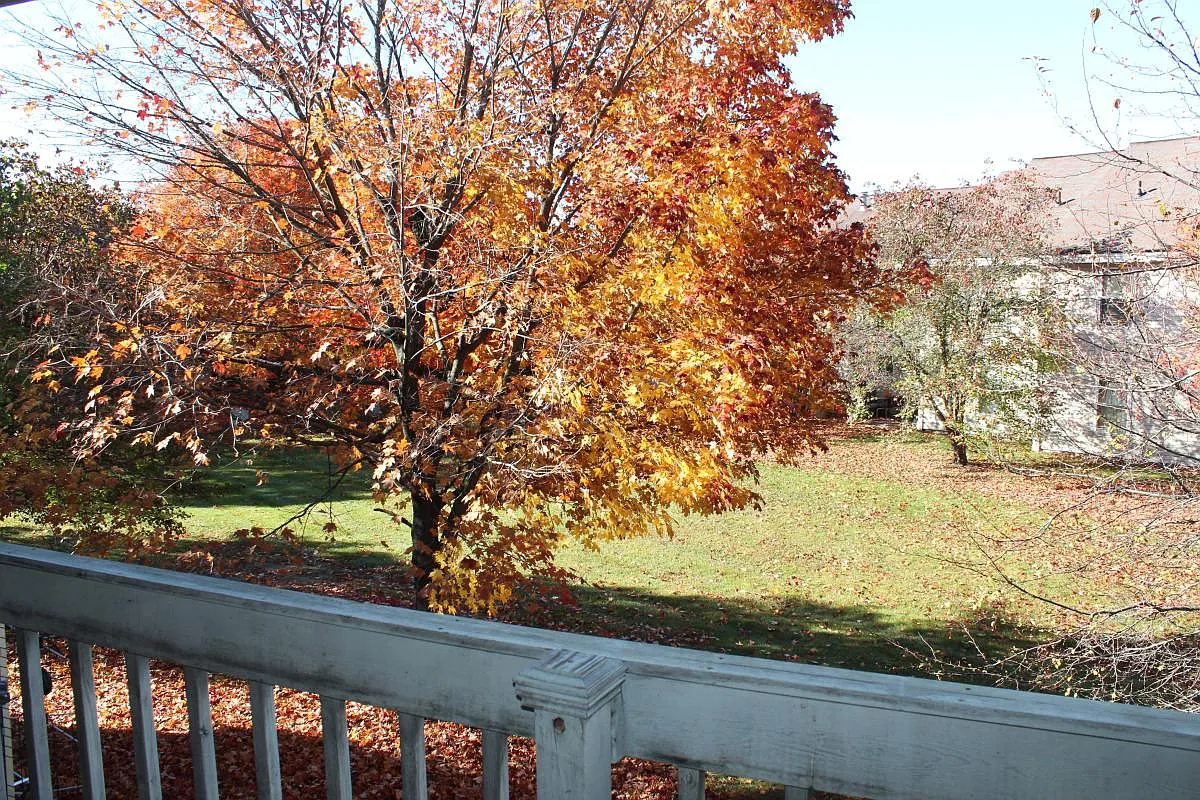 1629 Emerson Cir #95 - Photo 7 of 25