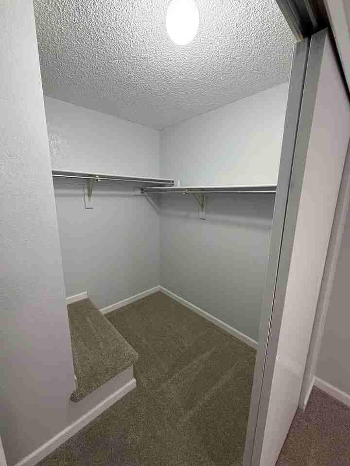 1334 Firefly Cir - Photo 4 of 8