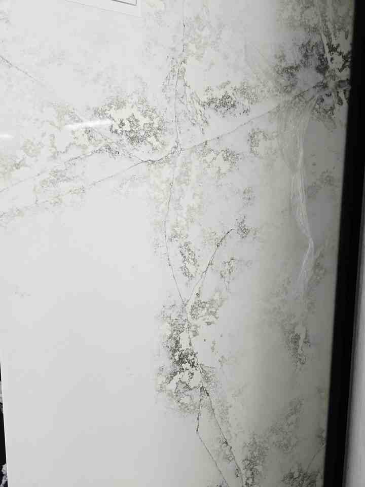 1349 Valencia Loop - Photo 7 of 7