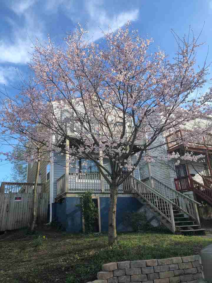 2418 Perry St - Photo 6 of 6