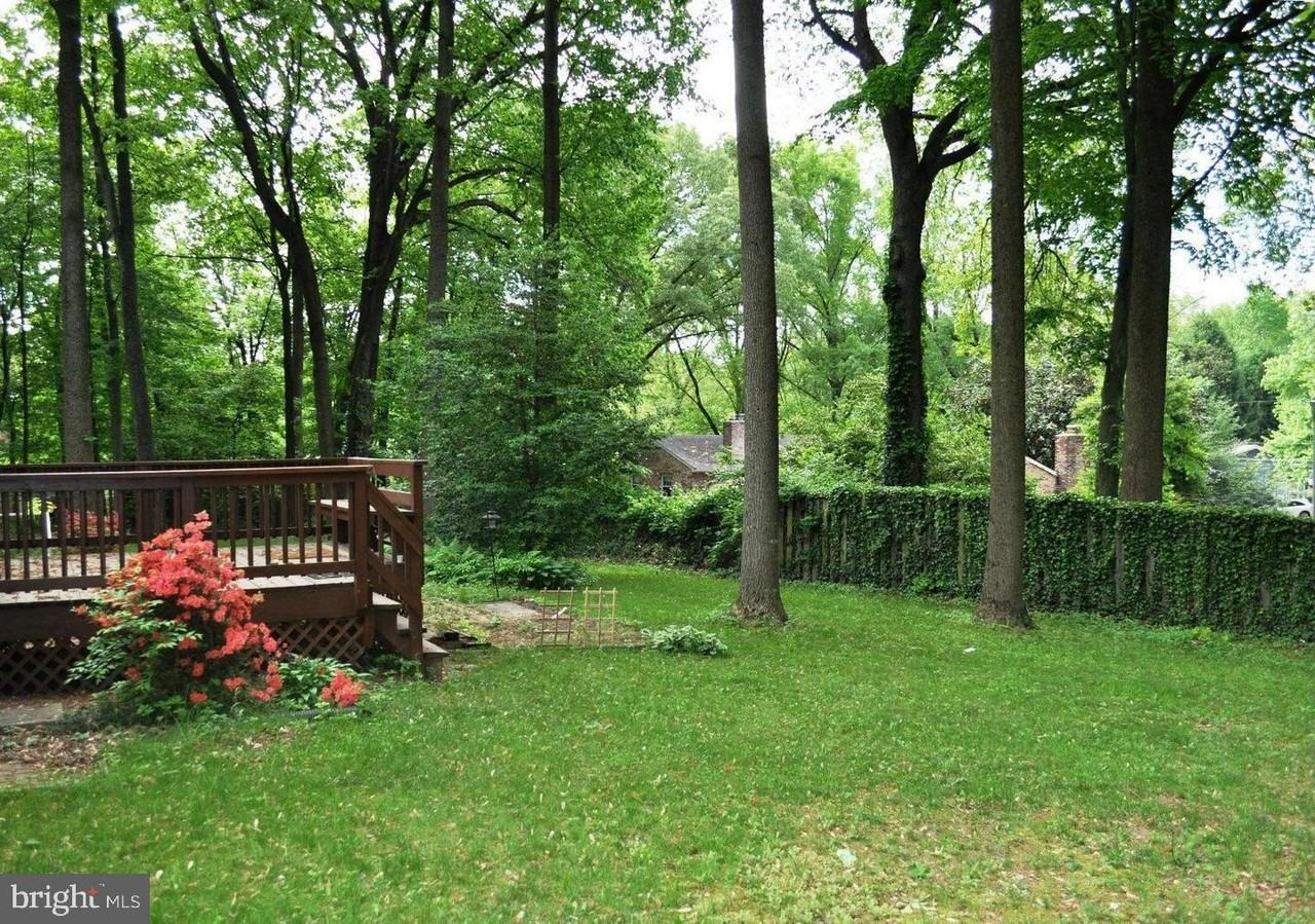 3810 Lynn Regis Ct - Photo 2 of 36