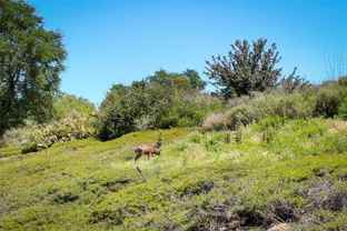 85 Mira Mesa - Photo 1 of 1