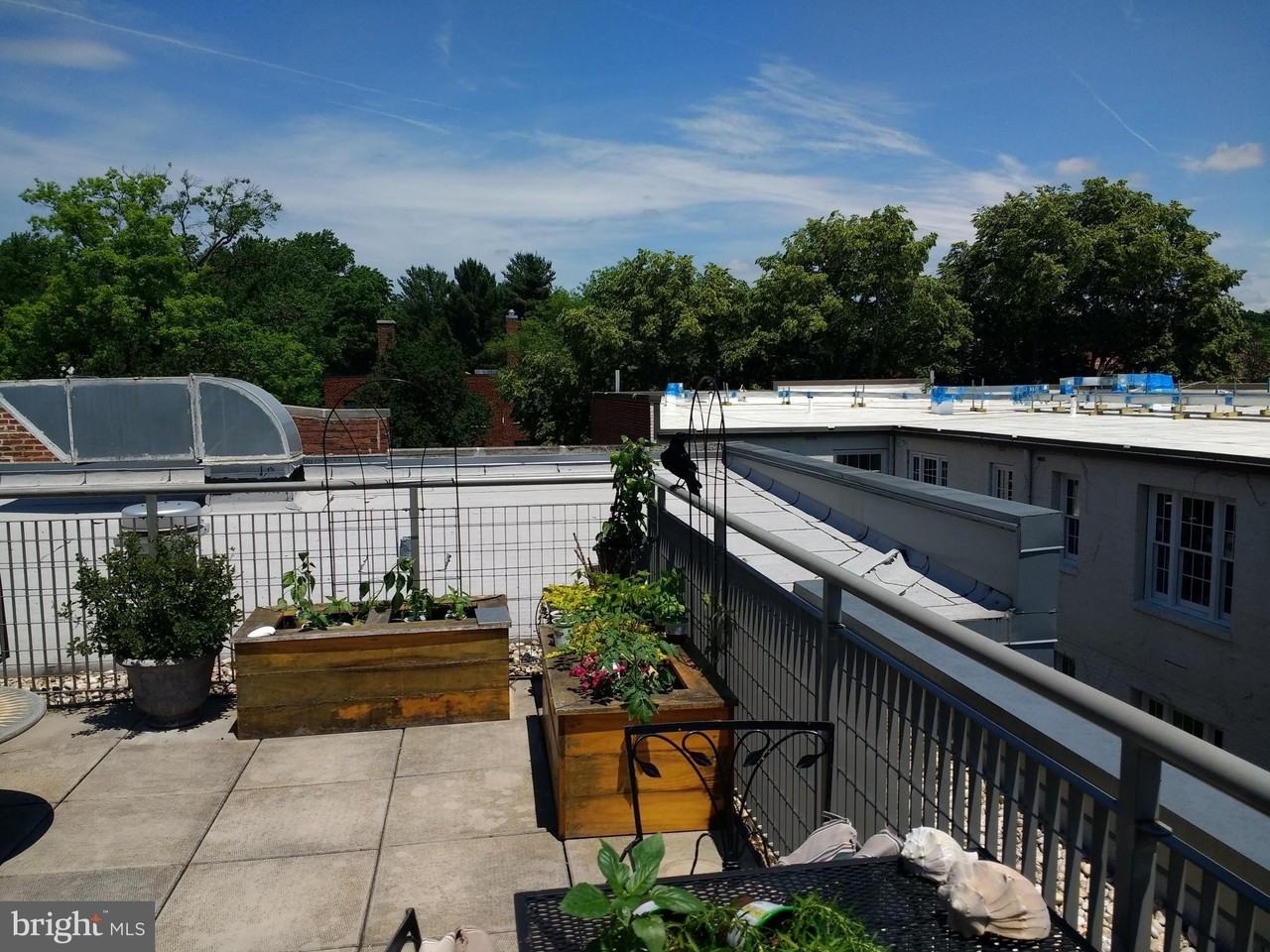 2516 Q St Nw #Q305 - Photo 2 of 8