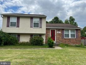 10411 Forestgrove Ln - Photo 1 of 1