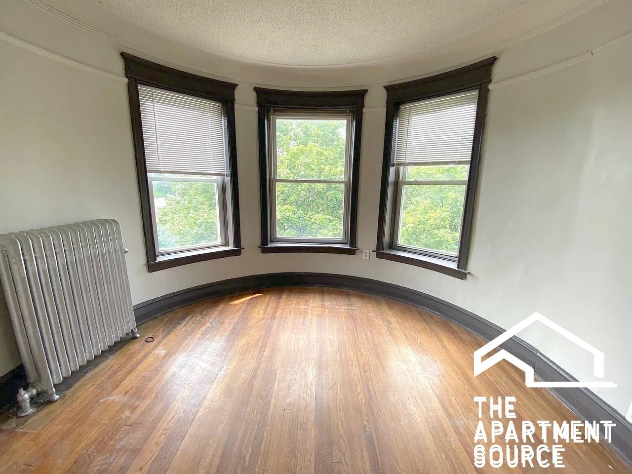 4533 S Michigan Ave #3A - Photo 2 of 12