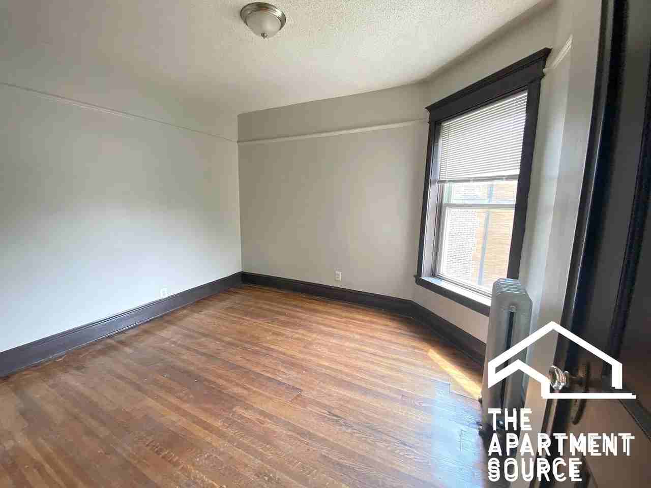 4533 S Michigan Ave #3A - Photo 5 of 12