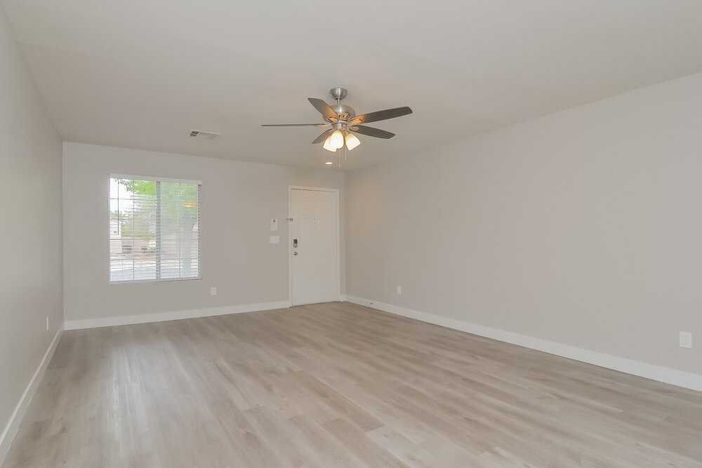 705 Orchid Tree Ln - Photo 5 of 16