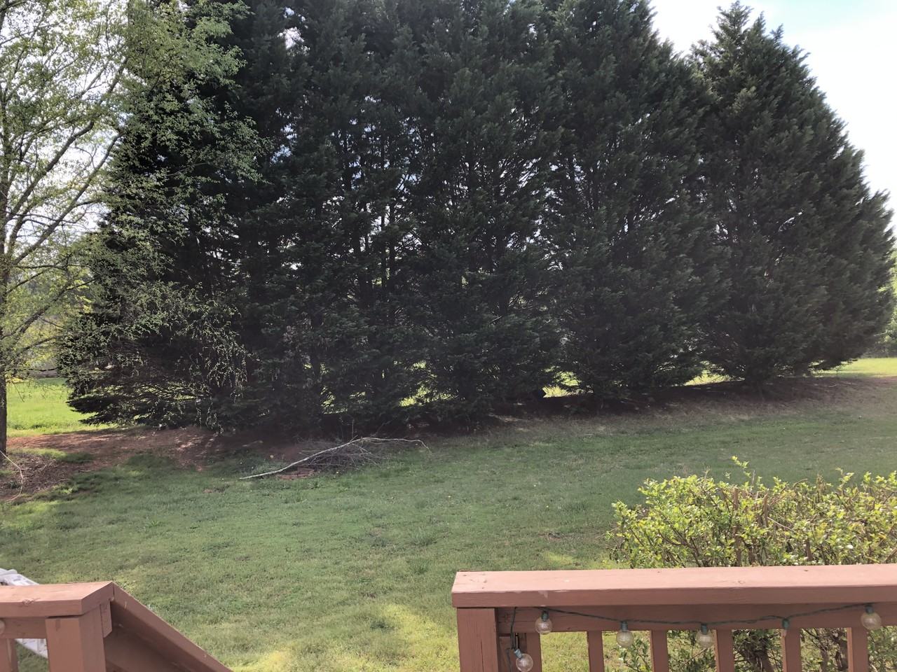 1281 Taylors Dr #NA - Photo 5 of 32