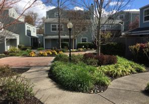 6600 Yount St #19 - Photo 1 of 1