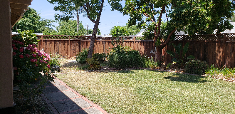 2136 Dena Dr - Photo 2 of 15