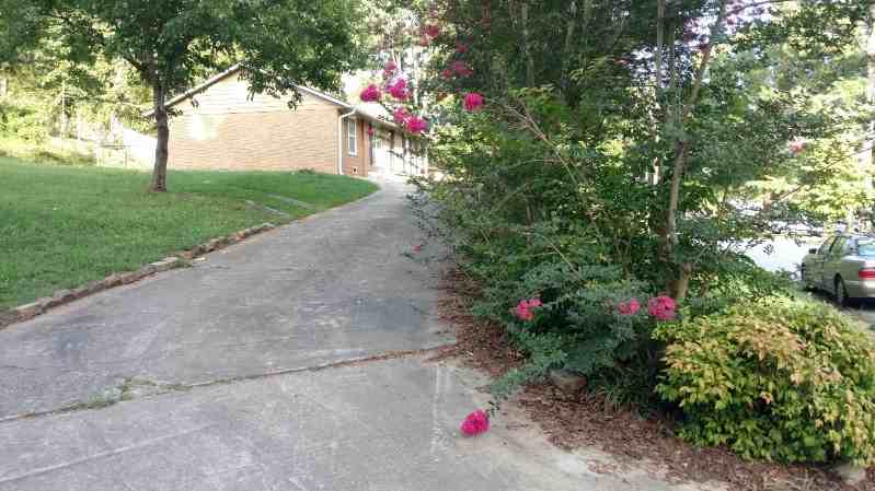 7382 Ovis Ln - Photo 3 of 21