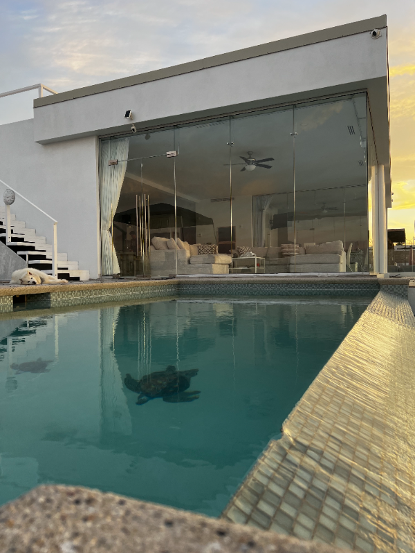 Carretera Federal #5 - Photo 7 of 10