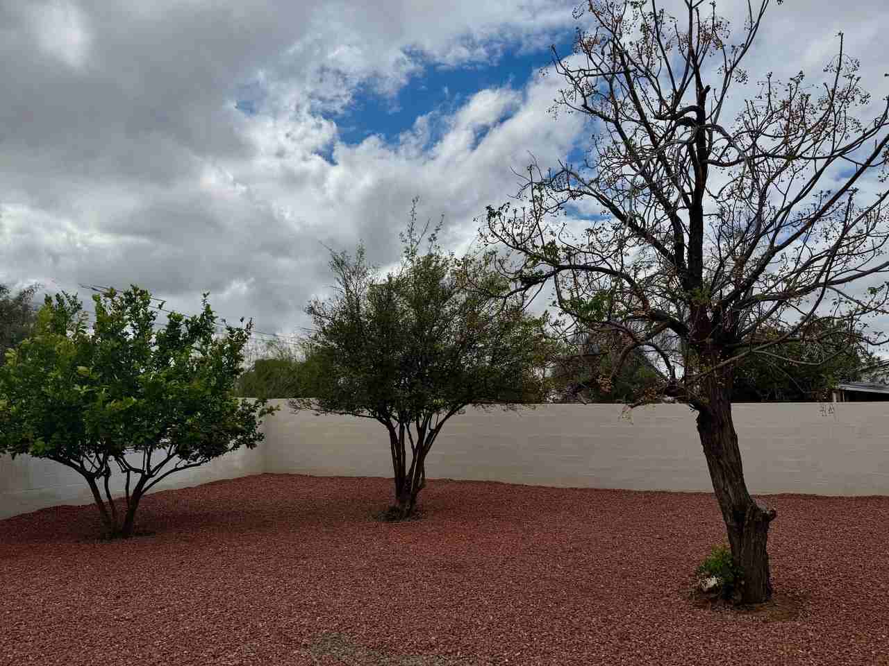 4634 E Burns St - Photo 2 of 12