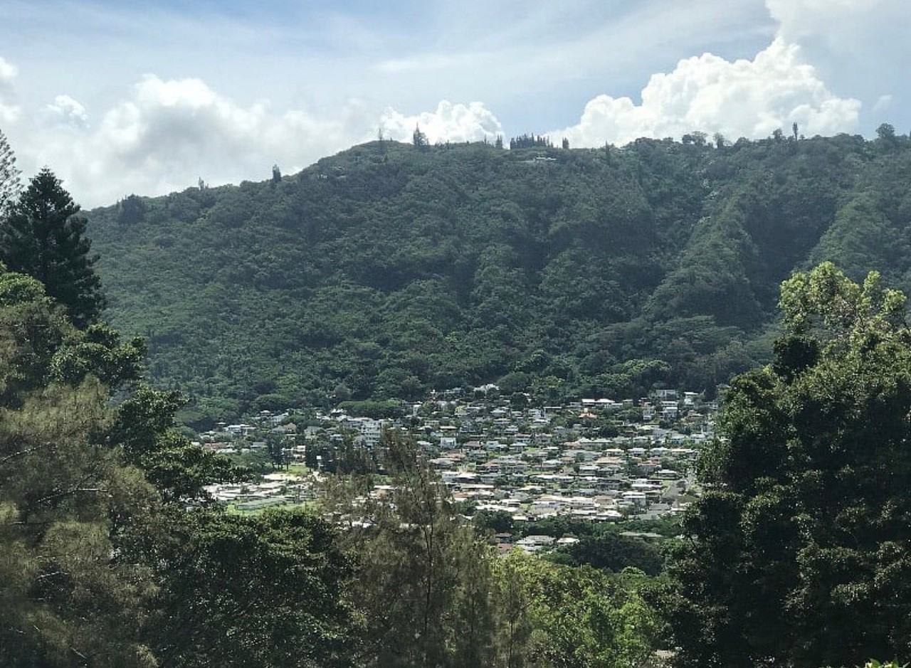 3321 Anoai Pl - Photo 6 of 18