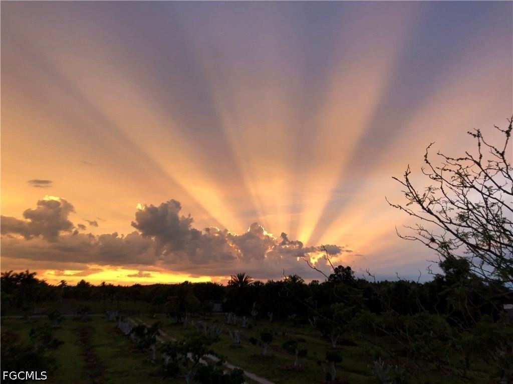 13098 Ficus Tree Ln - Photo 5 of 16