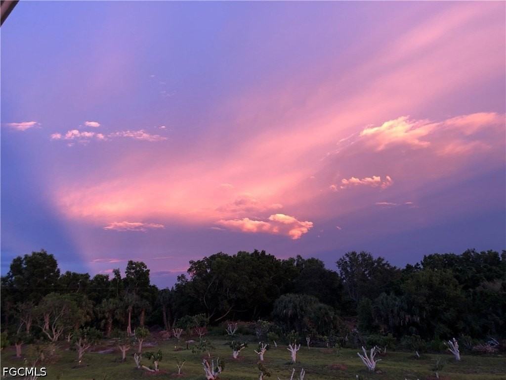 13098 Ficus Tree Ln - Photo 6 of 16