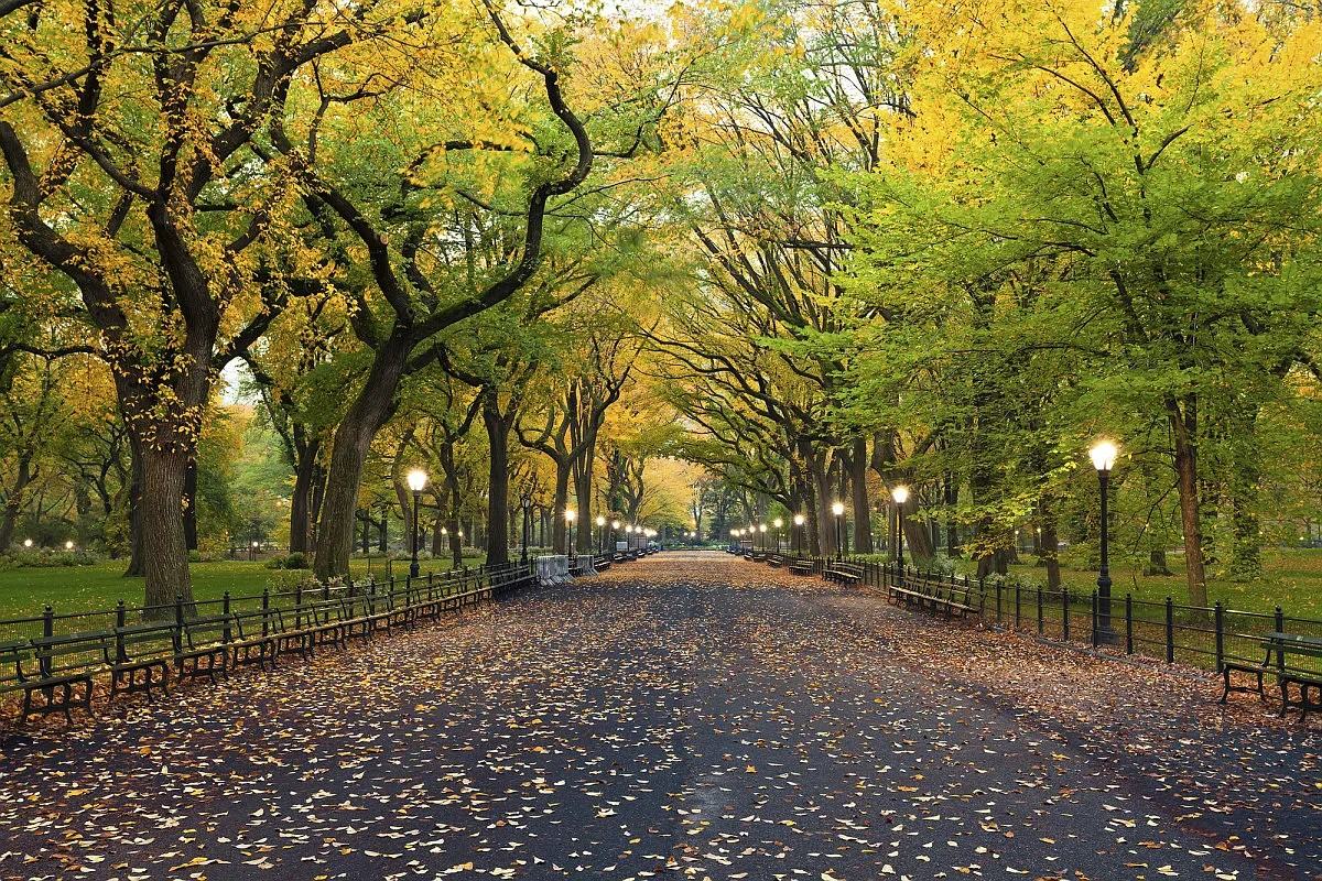 1631 2nd Ave #2N - Photo 7 of 8