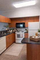 City Center Apartments - Photo 1 of 1