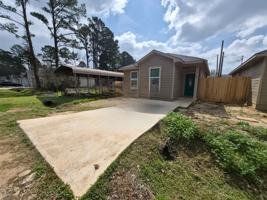 featured image of 9745 Black Gum