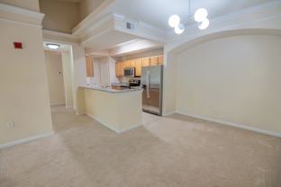 12016 Villanova Dr - Photo 1 of 1