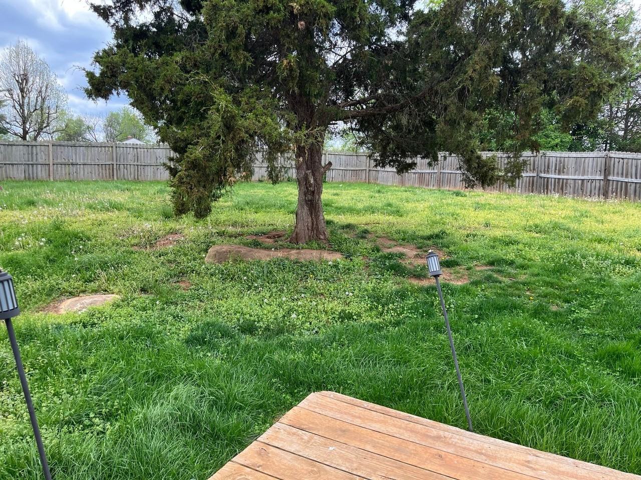 1123 Stone Crst - Photo 7 of 41