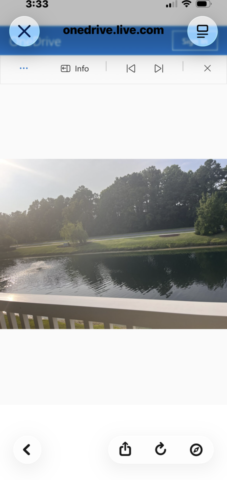 5825 Catalina Dr #223 - Photo 6 of 20