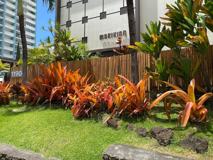 1190 Wilder Ave #302 - Photo 1 of 1