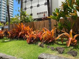 1190 Wilder Ave #302 - Photo 1 of 1