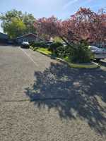featured image of 115 Union St