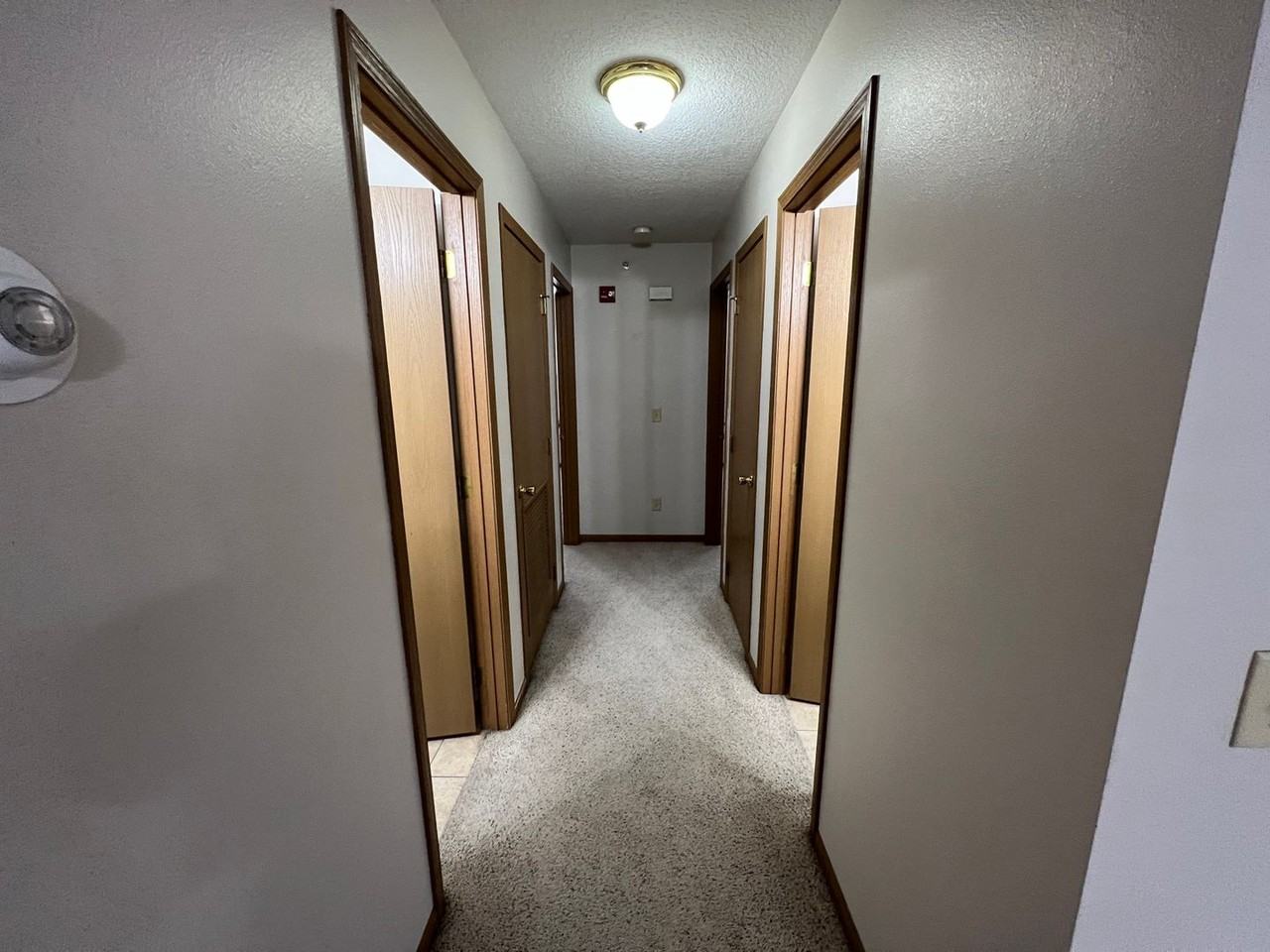 1105 Ratone St #7 - Photo 7 of 14