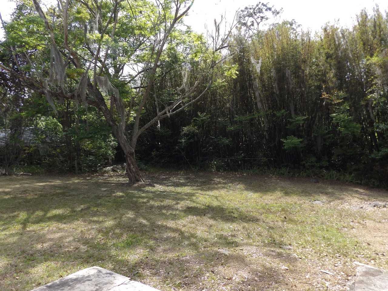 539 N Sparkman Ave - Photo 5 of 22