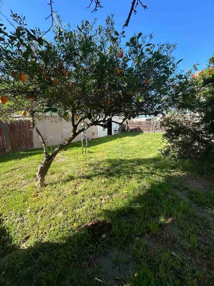 217 E Colonial Dr - Photo 7 of 8