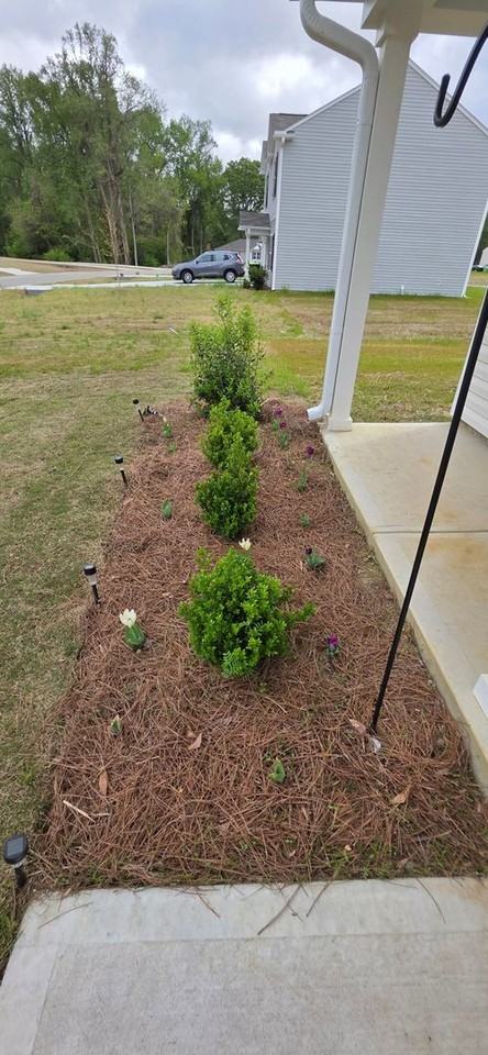 134 Lang Farm Rd - Photo 6 of 50