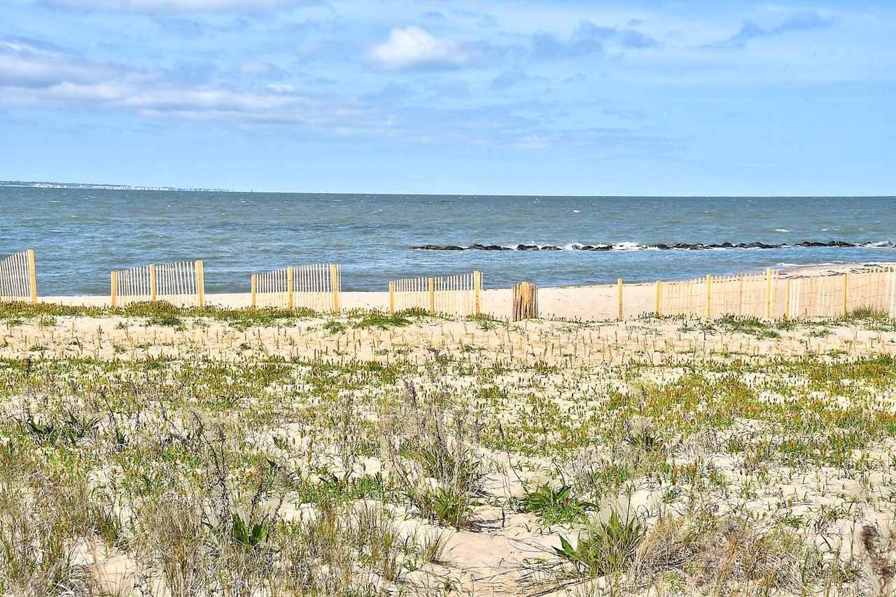 1428 W Ocean View Ave #A - Photo 4 of 35