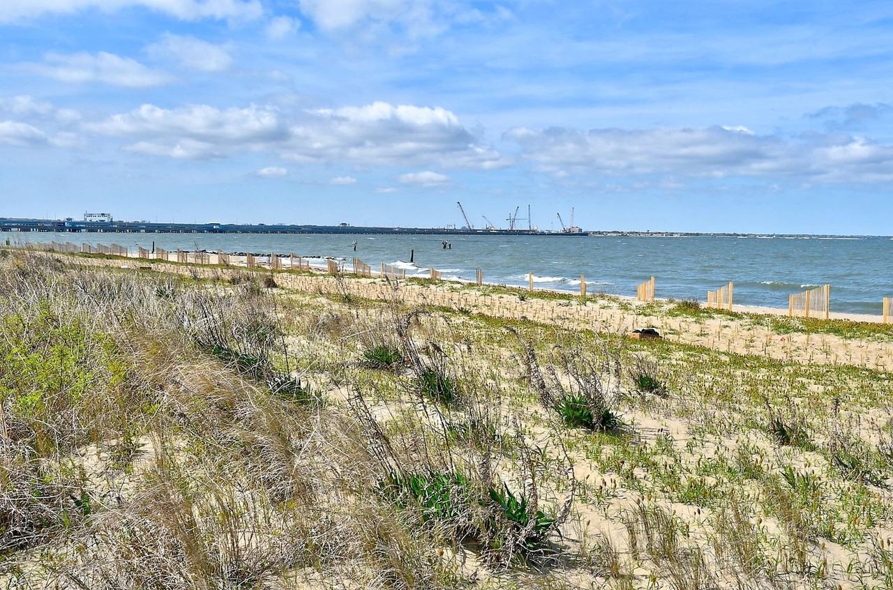 1428 W Ocean View Ave #A - Photo 5 of 35