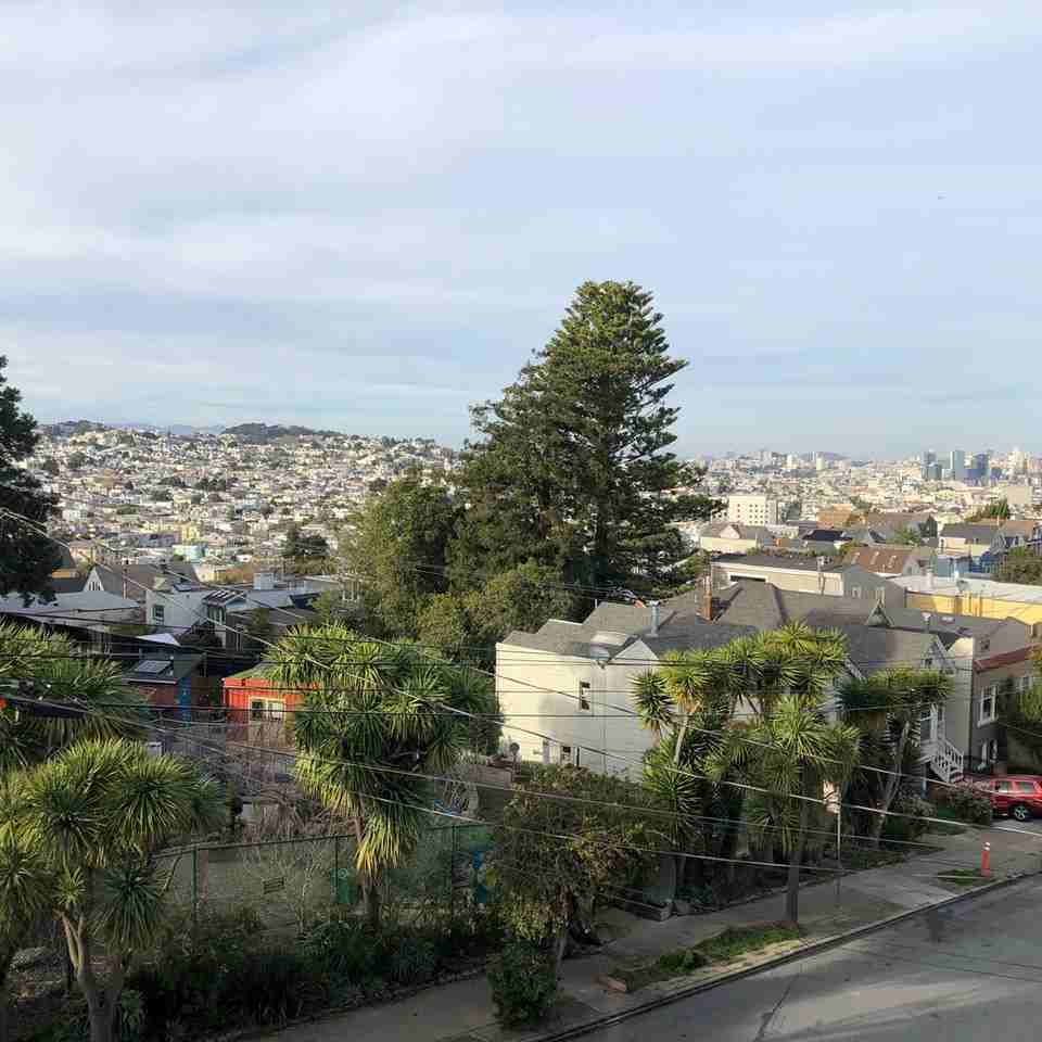 361 Elsie St - Photo 7 of 42